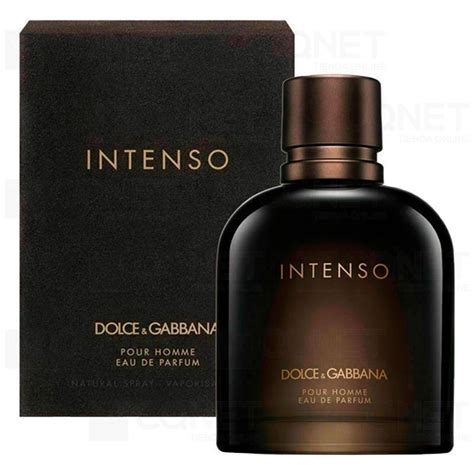 intenso dolce gabbana pour homme|dolce gabbana pour homme 125ml.